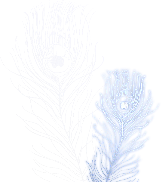 孔雀の羽イラスト